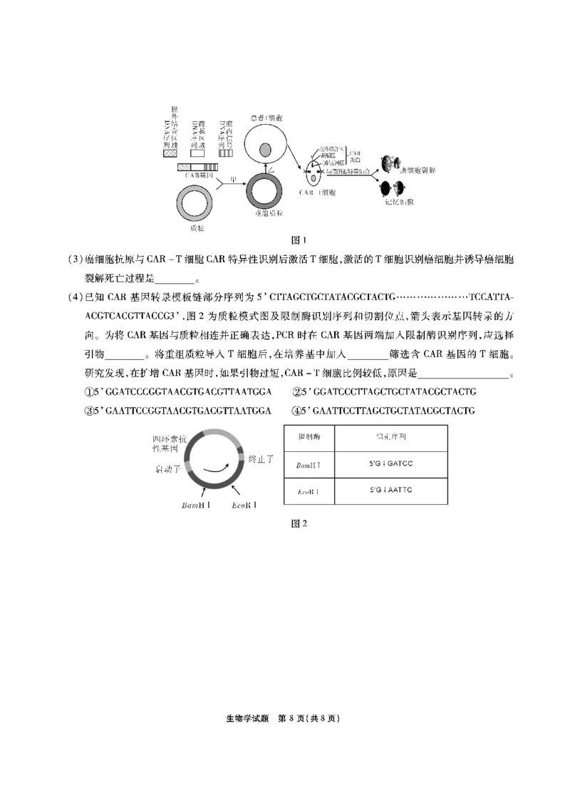 安徽六校高三-生物试题_2025年9月_250913安徽六校教育联盟会2026届高三年级入学素养测试（全科）_安徽六校-生物