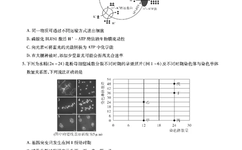 安徽六校高三-生物试题_2025年9月_250913安徽六校教育联盟会2026届高三年级入学素养测试（全科）_安徽六校-生物