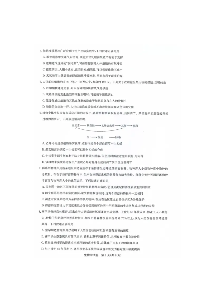 生物试卷_2025年8月_250822湖北省圆创高中名校联盟2026届高三第一次联合测评（全科）_湖北省圆创高中名校联盟2026届高三第一次联合测评生物