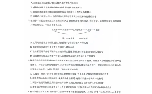 生物试卷_2025年8月_250822湖北省圆创高中名校联盟2026届高三第一次联合测评（全科）_湖北省圆创高中名校联盟2026届高三第一次联合测评生物