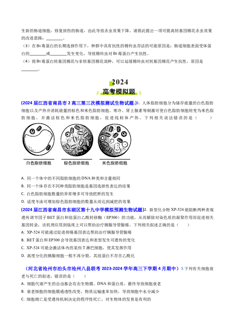 专题07细胞的分化、衰老、死亡和癌变-2024年高考真题和模拟题生物分类汇编(学生卷）_近10年高考真题汇编（必刷）_十年（2014-2024）高考生物真题分项汇编（全国通用）