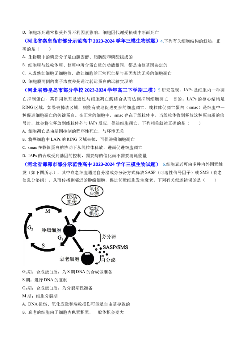 专题07细胞的分化、衰老、死亡和癌变-2024年高考真题和模拟题生物分类汇编(学生卷）_近10年高考真题汇编（必刷）_十年（2014-2024）高考生物真题分项汇编（全国通用）