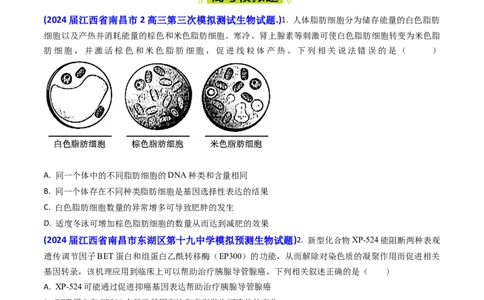 专题07细胞的分化、衰老、死亡和癌变-2024年高考真题和模拟题生物分类汇编(学生卷）_近10年高考真题汇编（必刷）_十年（2014-2024）高考生物真题分项汇编（全国通用）