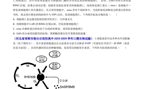 专题07细胞的分化、衰老、死亡和癌变-2024年高考真题和模拟题生物分类汇编(学生卷）_近10年高考真题汇编（必刷）_十年（2014-2024）高考生物真题分项汇编（全国通用）