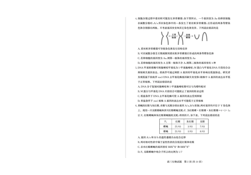 山东省（烟台市、德州市）2025届高三高考适应性测试生物_2025年5月_250511山东省（烟台市、德州市）2025届高三高考适应性测试（烟台、德州二模）（全科）