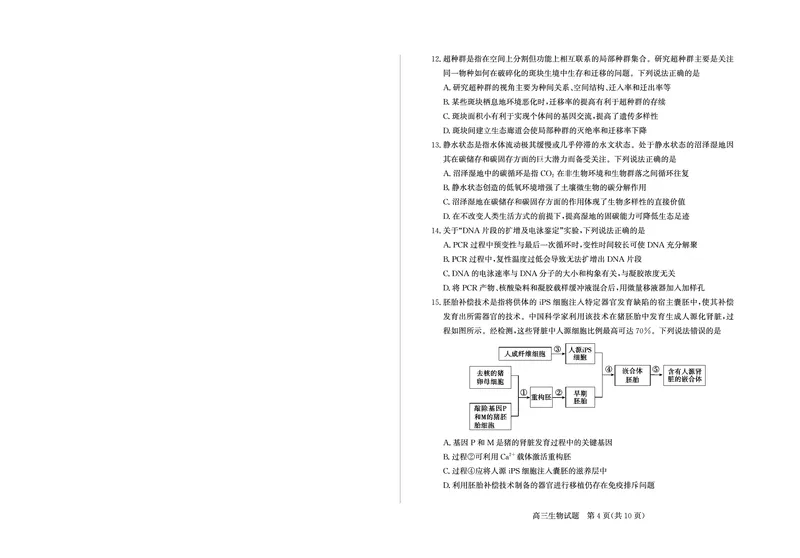 山东省（烟台市、德州市）2025届高三高考适应性测试生物_2025年5月_250511山东省（烟台市、德州市）2025届高三高考适应性测试（烟台、德州二模）（全科）