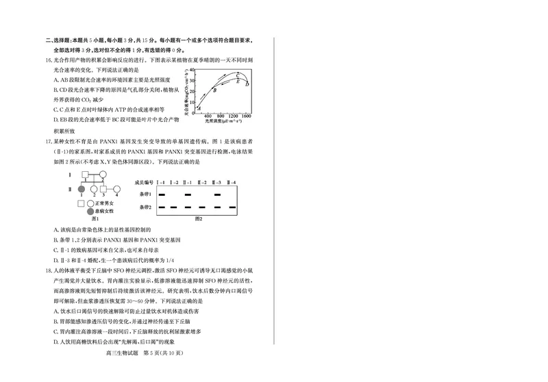 山东省（烟台市、德州市）2025届高三高考适应性测试生物_2025年5月_250511山东省（烟台市、德州市）2025届高三高考适应性测试（烟台、德州二模）（全科）