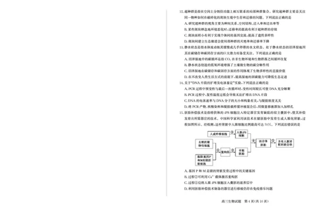 山东省（烟台市、德州市）2025届高三高考适应性测试生物_2025年5月_250511山东省（烟台市、德州市）2025届高三高考适应性测试（烟台、德州二模）（全科）