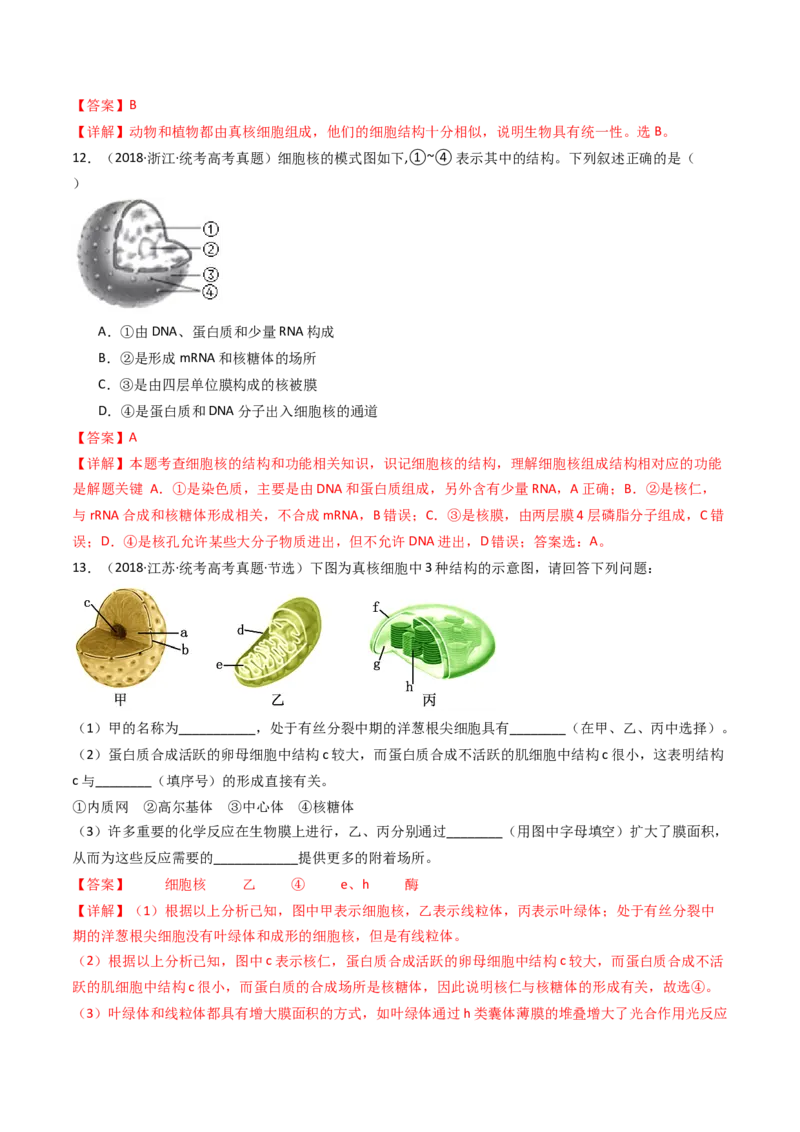 专题02细胞的结构和功能（解析卷）_近10年高考真题汇编（必刷）_十年（2014-2024）高考生物真题分项汇编（全国通用）_十年（2014-2023）高考生物真题分项汇编（全国通用）