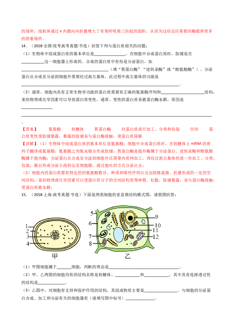 专题02细胞的结构和功能（解析卷）_近10年高考真题汇编（必刷）_十年（2014-2024）高考生物真题分项汇编（全国通用）_十年（2014-2023）高考生物真题分项汇编（全国通用）