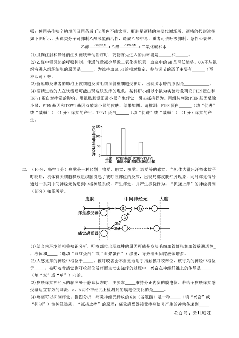 高二生物期中模拟卷03测试范围：人教版2019选必1全册（考试版A4）（新高考通用）(1)_1多考区联考_1014高二期中模拟卷（新高考通用）黄金卷：2024-2025学年高二上学期期中模拟考试