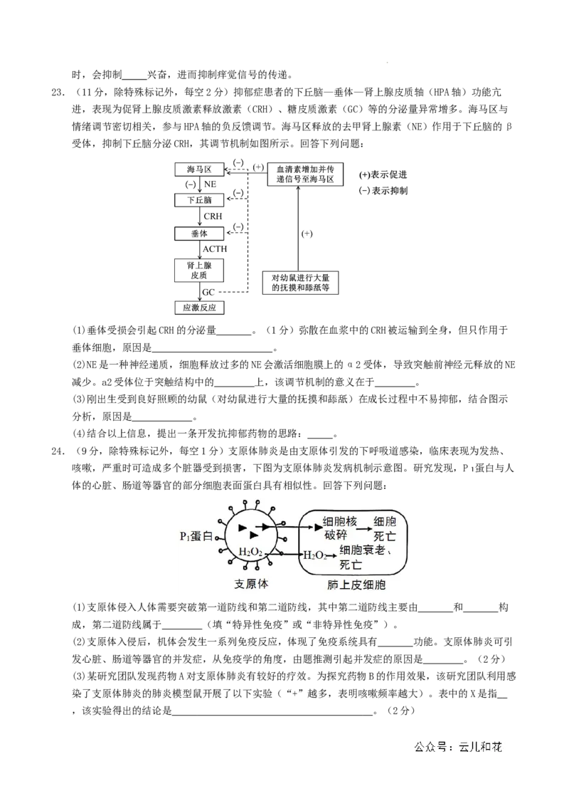 高二生物期中模拟卷03测试范围：人教版2019选必1全册（考试版A4）（新高考通用）(1)_1多考区联考_1014高二期中模拟卷（新高考通用）黄金卷：2024-2025学年高二上学期期中模拟考试