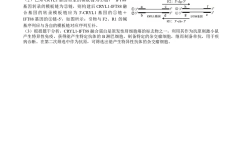 广西邕衡教育&middot;名校联盟2024~2025学年度2022级高三下学期开学考试生物答案_2025年2月_250220广西邕衡教育&middot;名校联盟2022级高三下学期开学考试（全科）