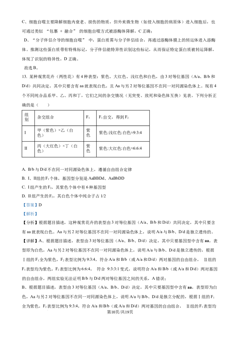 精品解析：重庆实验外国语学校2025-2026学年高三上学期9月月考2生物试题（解析版）_2025年10月_251001重庆实验外国语学校2025-2026学年高三上学期9月月考（二）（全科）