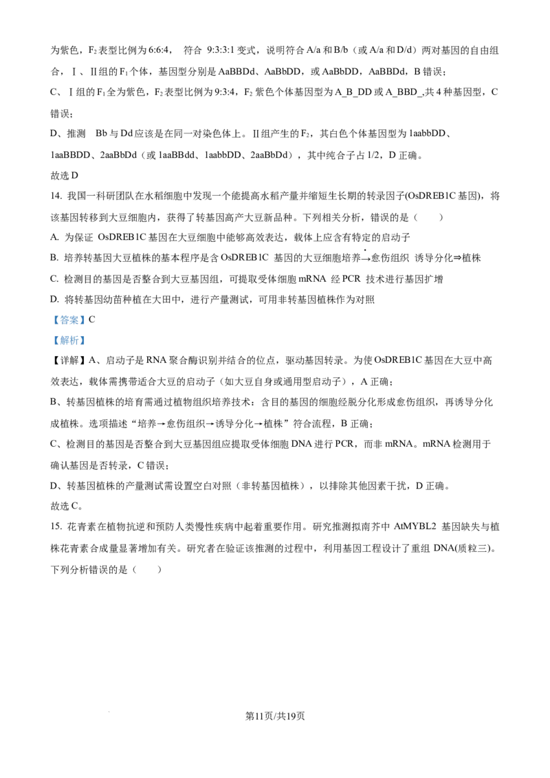 精品解析：重庆实验外国语学校2025-2026学年高三上学期9月月考2生物试题（解析版）_2025年10月_251001重庆实验外国语学校2025-2026学年高三上学期9月月考（二）（全科）