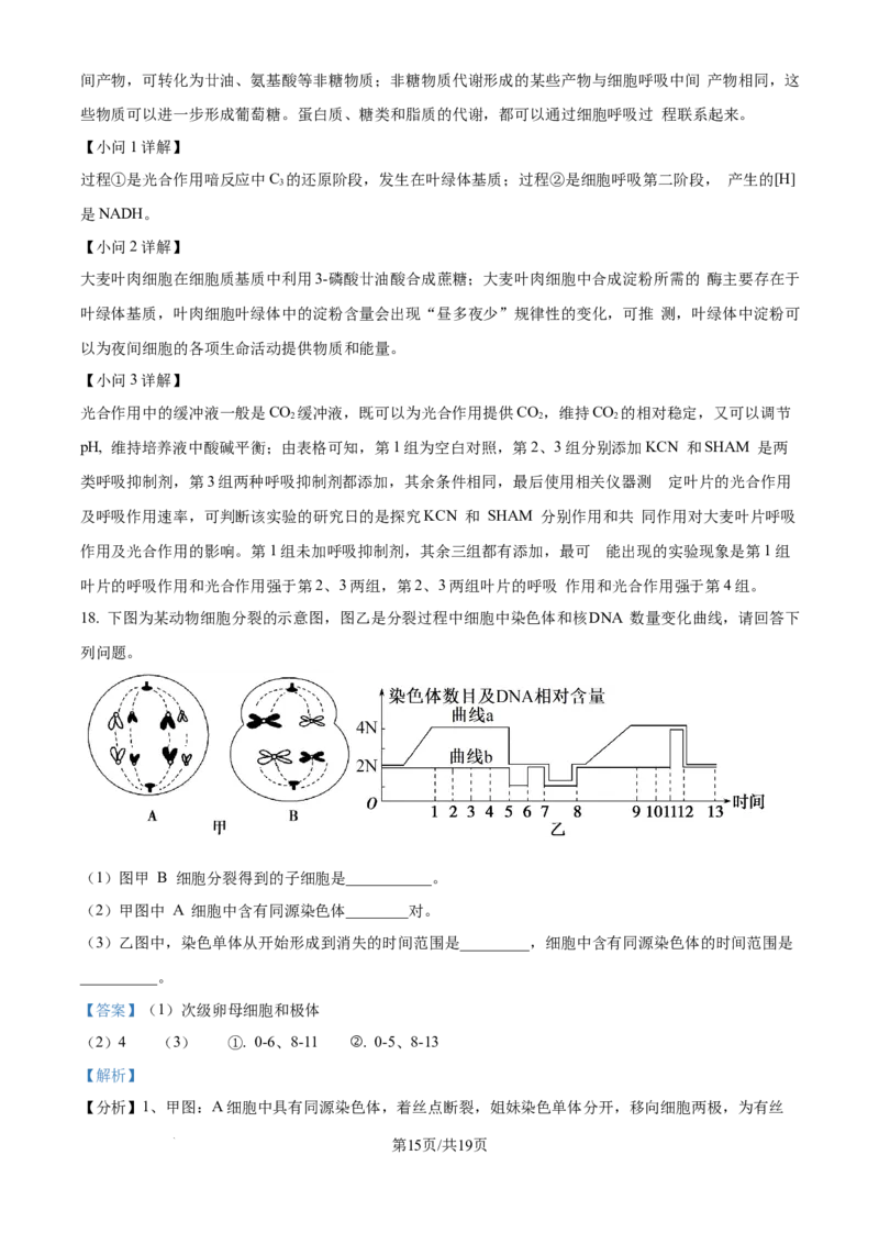 精品解析：重庆实验外国语学校2025-2026学年高三上学期9月月考2生物试题（解析版）_2025年10月_251001重庆实验外国语学校2025-2026学年高三上学期9月月考（二）（全科）