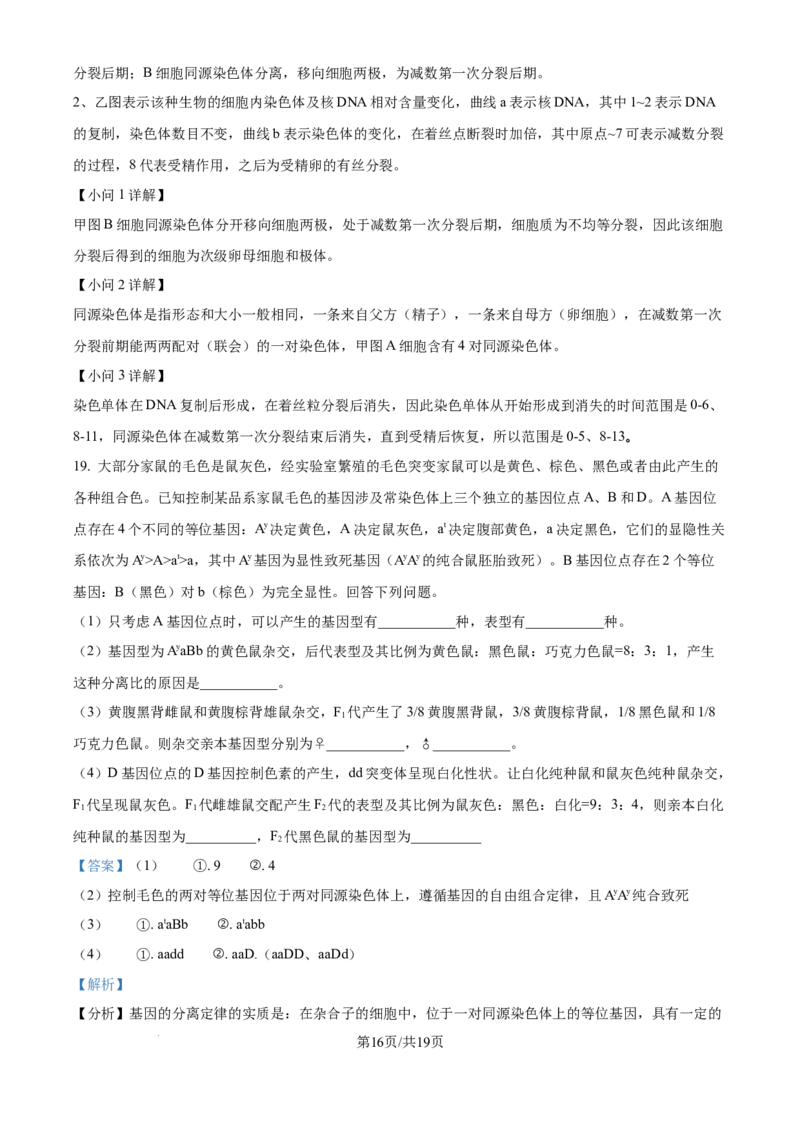 精品解析：重庆实验外国语学校2025-2026学年高三上学期9月月考2生物试题（解析版）_2025年10月_251001重庆实验外国语学校2025-2026学年高三上学期9月月考（二）（全科）