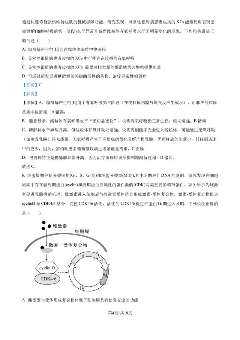 精品解析：重庆实验外国语学校2025-2026学年高三上学期9月月考2生物试题（解析版）_2025年10月_251001重庆实验外国语学校2025-2026学年高三上学期9月月考（二）（全科）