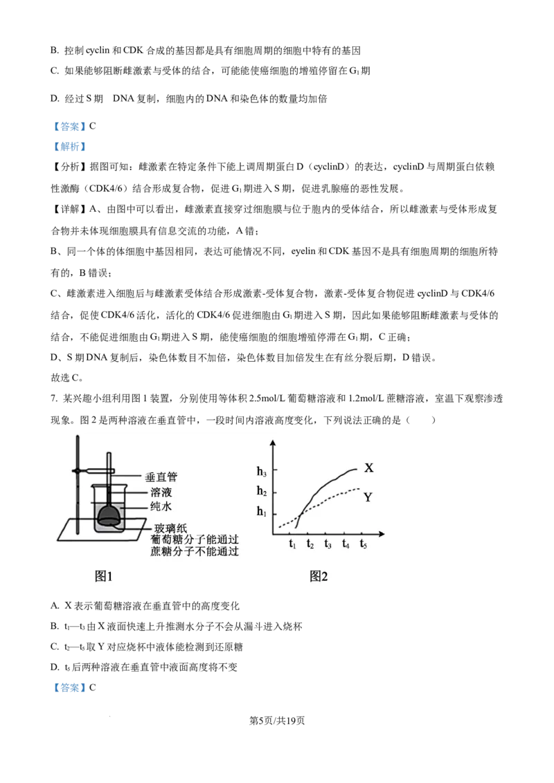 精品解析：重庆实验外国语学校2025-2026学年高三上学期9月月考2生物试题（解析版）_2025年10月_251001重庆实验外国语学校2025-2026学年高三上学期9月月考（二）（全科）