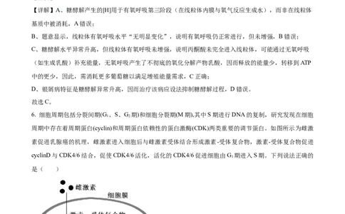 精品解析：重庆实验外国语学校2025-2026学年高三上学期9月月考2生物试题（解析版）_2025年10月_251001重庆实验外国语学校2025-2026学年高三上学期9月月考（二）（全科）