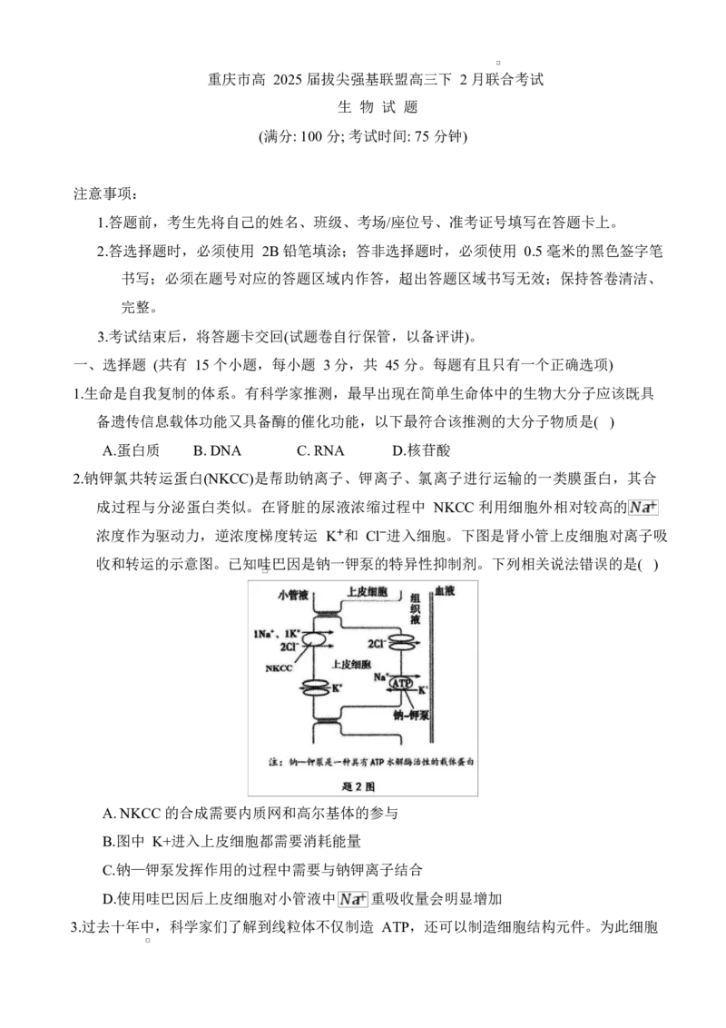 重庆市拔尖强基联盟2024-2025学年高三下学期2月月考生物试题_2025年2月_250224重庆市拔尖强基联盟2024-2025学年高三下学期2月联合考试