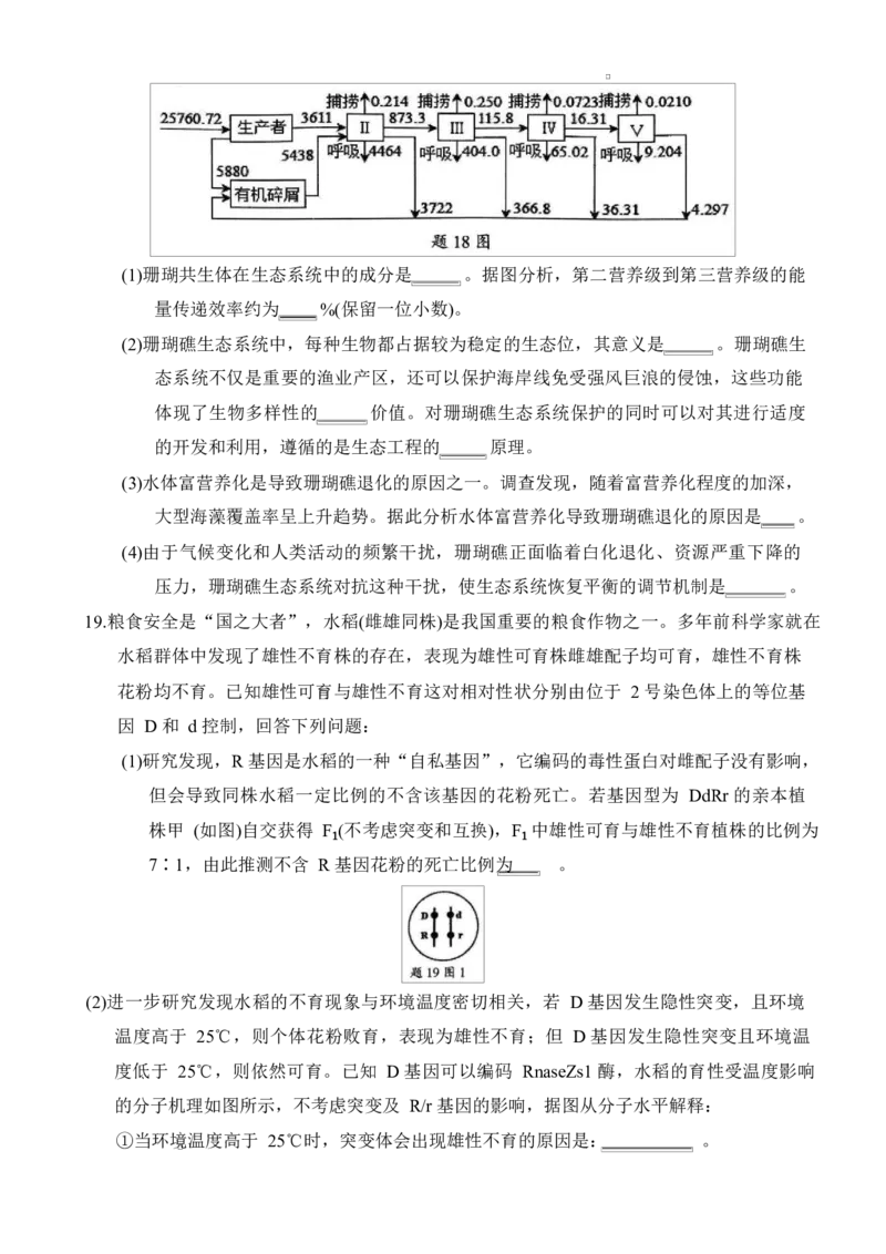 重庆市拔尖强基联盟2024-2025学年高三下学期2月月考生物试题_2025年2月_250224重庆市拔尖强基联盟2024-2025学年高三下学期2月联合考试