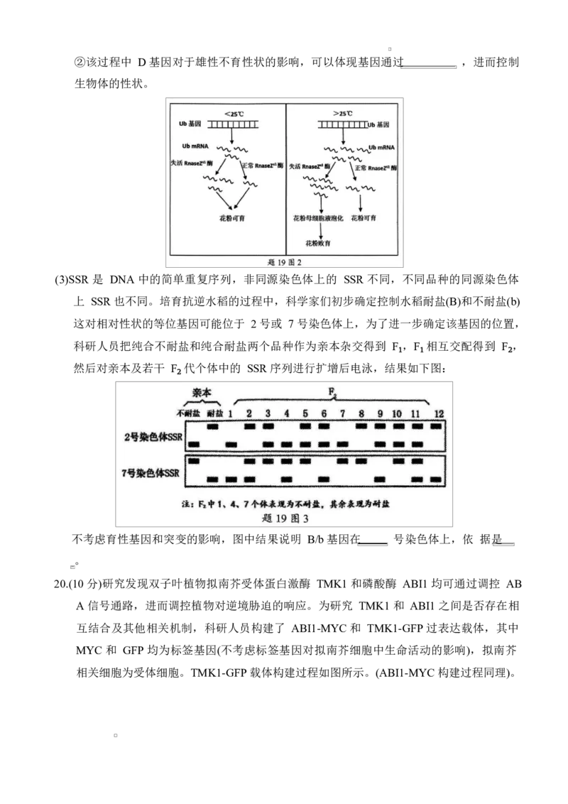 重庆市拔尖强基联盟2024-2025学年高三下学期2月月考生物试题_2025年2月_250224重庆市拔尖强基联盟2024-2025学年高三下学期2月联合考试