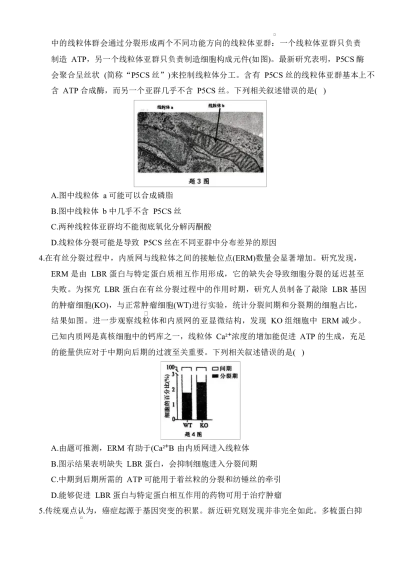 重庆市拔尖强基联盟2024-2025学年高三下学期2月月考生物试题_2025年2月_250224重庆市拔尖强基联盟2024-2025学年高三下学期2月联合考试