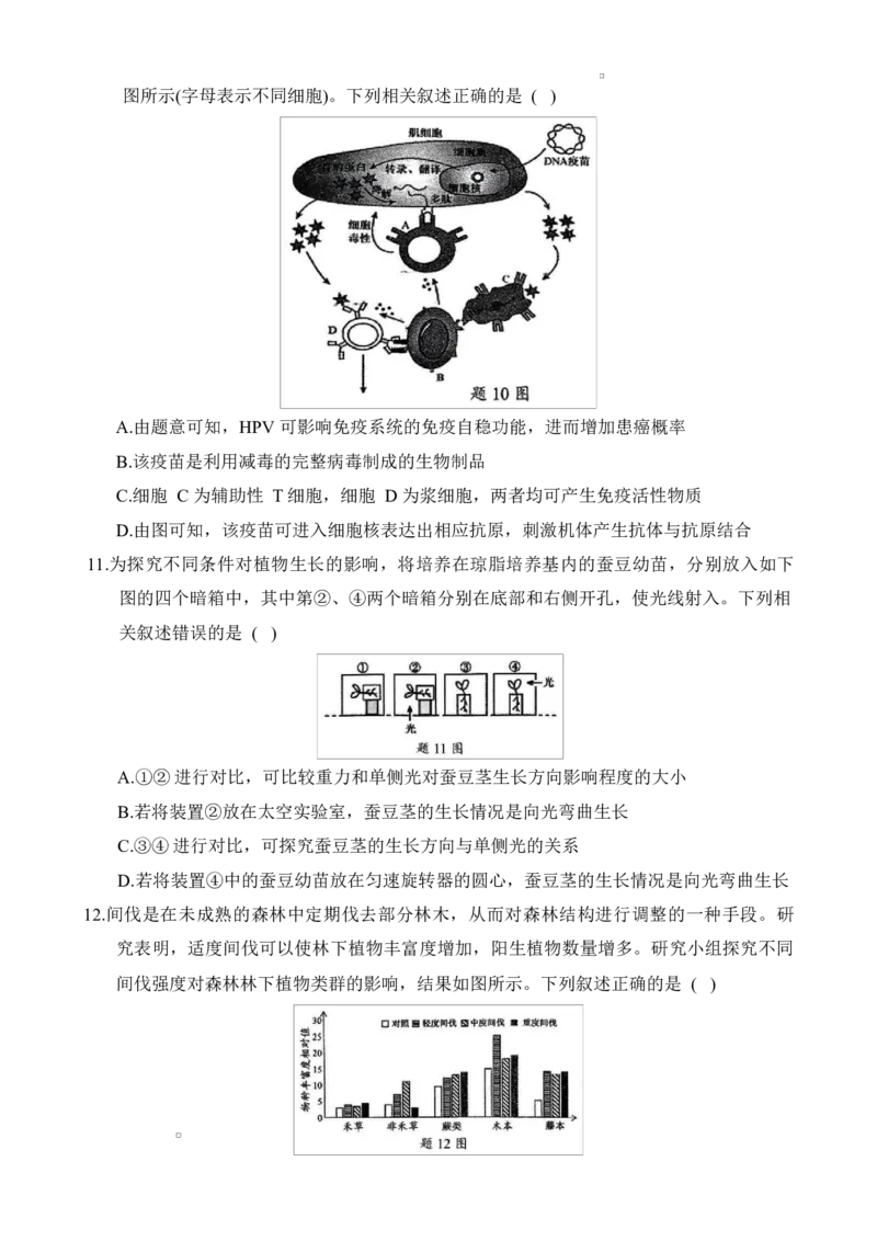 重庆市拔尖强基联盟2024-2025学年高三下学期2月月考生物试题_2025年2月_250224重庆市拔尖强基联盟2024-2025学年高三下学期2月联合考试