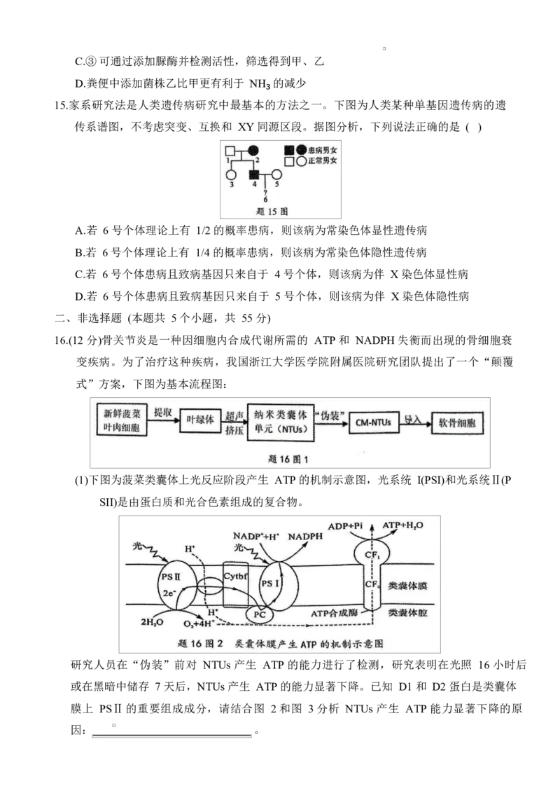 重庆市拔尖强基联盟2024-2025学年高三下学期2月月考生物试题_2025年2月_250224重庆市拔尖强基联盟2024-2025学年高三下学期2月联合考试