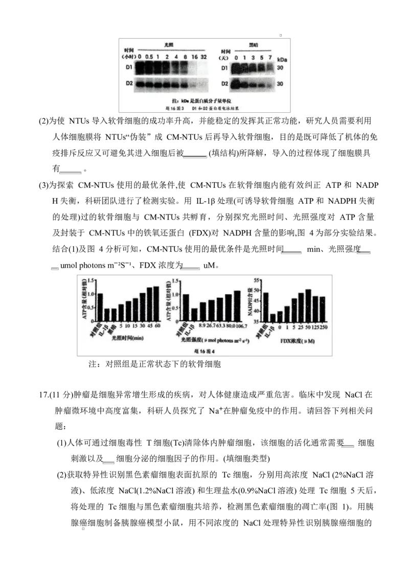 重庆市拔尖强基联盟2024-2025学年高三下学期2月月考生物试题_2025年2月_250224重庆市拔尖强基联盟2024-2025学年高三下学期2月联合考试