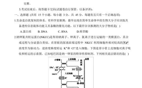 重庆市拔尖强基联盟2024-2025学年高三下学期2月月考生物试题_2025年2月_250224重庆市拔尖强基联盟2024-2025学年高三下学期2月联合考试