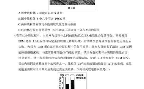 重庆市拔尖强基联盟2024-2025学年高三下学期2月月考生物试题_2025年2月_250224重庆市拔尖强基联盟2024-2025学年高三下学期2月联合考试