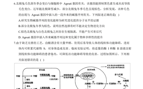 重庆市拔尖强基联盟2024-2025学年高三下学期2月月考生物试题_2025年2月_250224重庆市拔尖强基联盟2024-2025学年高三下学期2月联合考试
