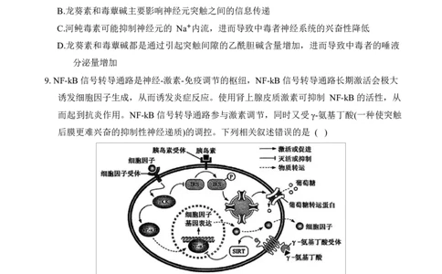 重庆市拔尖强基联盟2024-2025学年高三下学期2月月考生物试题_2025年2月_250224重庆市拔尖强基联盟2024-2025学年高三下学期2月联合考试