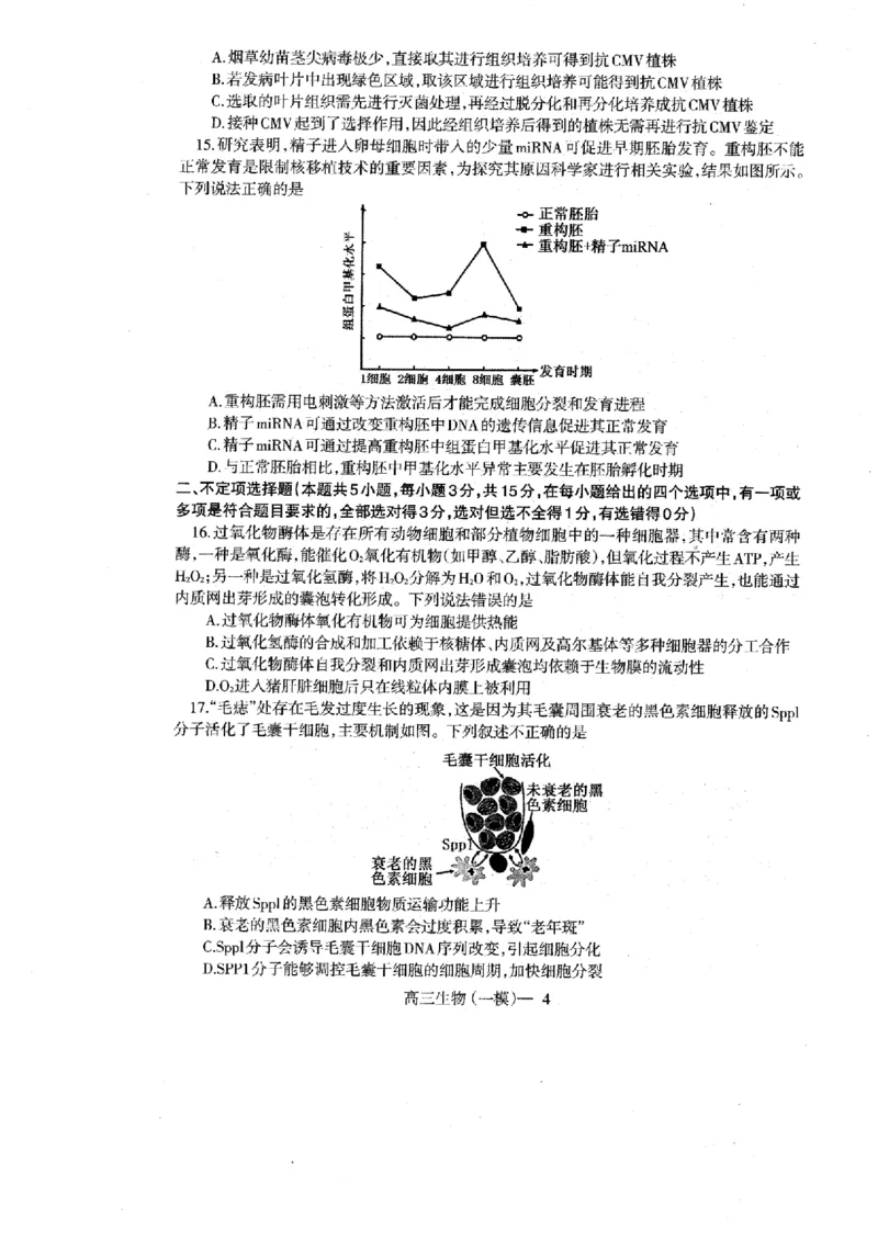 辽宁省协作校2024-2025学年度下学期高三第一次模拟考试生物_2025年3月_250328辽宁省协作校2024-2025学年度下学期高三第一次模拟考试（全科）