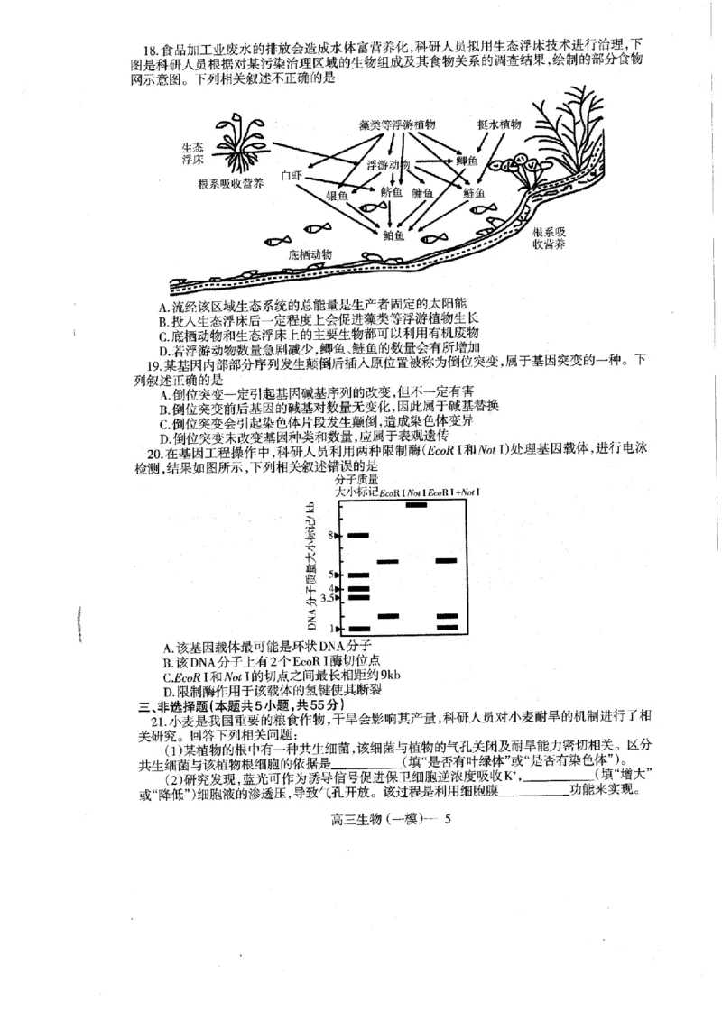 辽宁省协作校2024-2025学年度下学期高三第一次模拟考试生物_2025年3月_250328辽宁省协作校2024-2025学年度下学期高三第一次模拟考试（全科）
