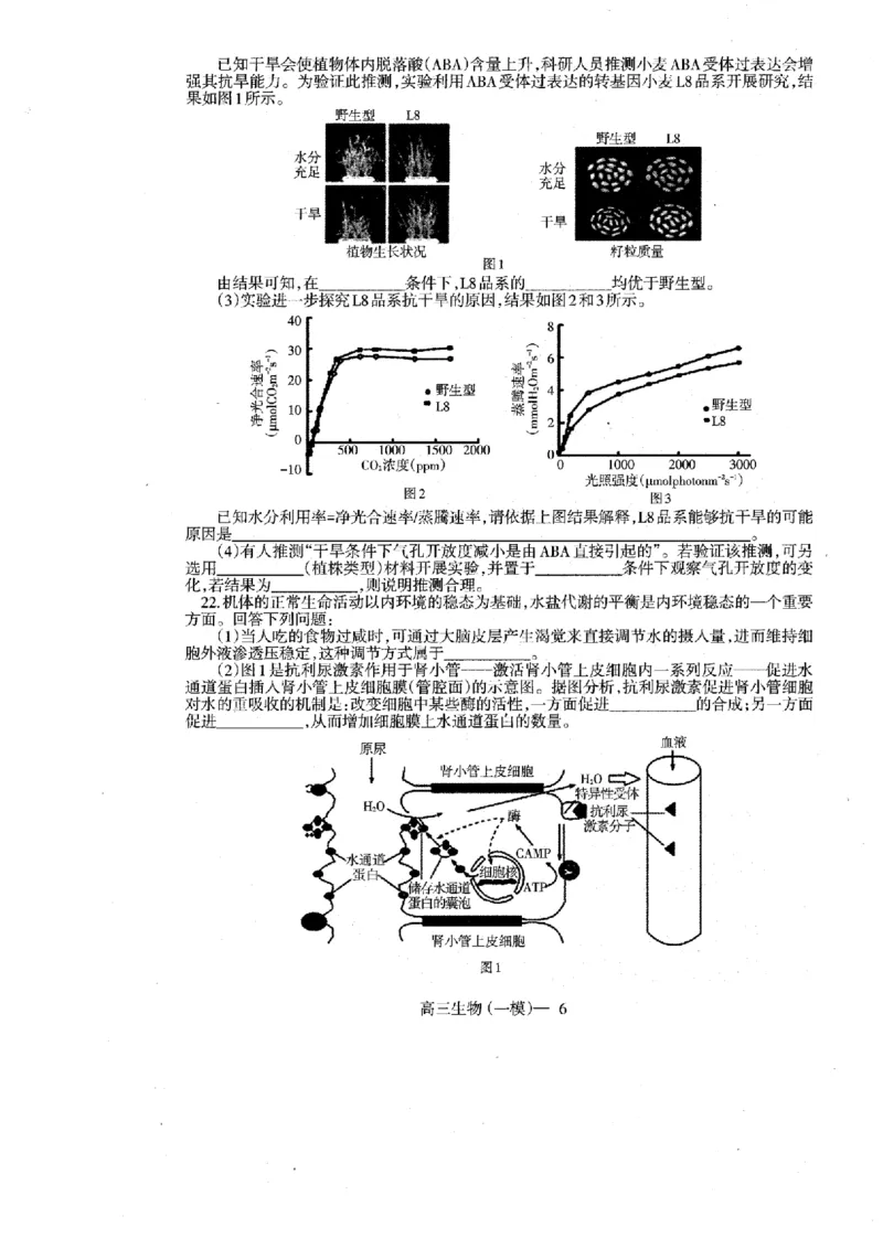 辽宁省协作校2024-2025学年度下学期高三第一次模拟考试生物_2025年3月_250328辽宁省协作校2024-2025学年度下学期高三第一次模拟考试（全科）