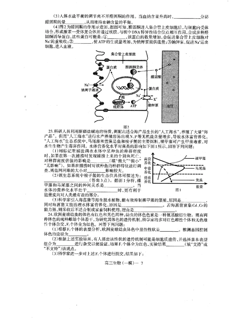 辽宁省协作校2024-2025学年度下学期高三第一次模拟考试生物_2025年3月_250328辽宁省协作校2024-2025学年度下学期高三第一次模拟考试（全科）