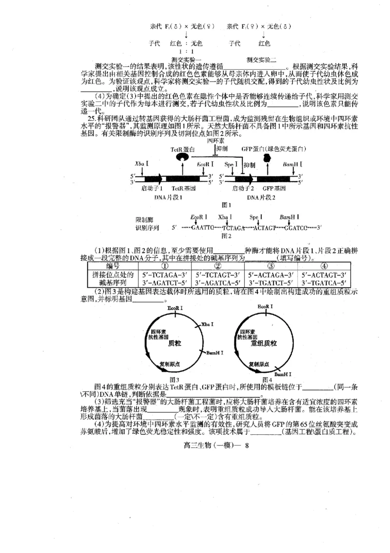 辽宁省协作校2024-2025学年度下学期高三第一次模拟考试生物_2025年3月_250328辽宁省协作校2024-2025学年度下学期高三第一次模拟考试（全科）