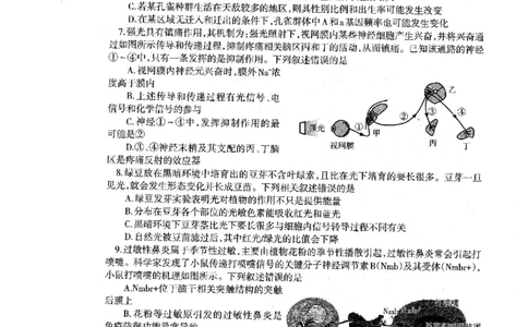 辽宁省协作校2024-2025学年度下学期高三第一次模拟考试生物_2025年3月_250328辽宁省协作校2024-2025学年度下学期高三第一次模拟考试（全科）