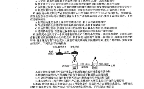 辽宁省协作校2024-2025学年度下学期高三第一次模拟考试生物_2025年3月_250328辽宁省协作校2024-2025学年度下学期高三第一次模拟考试（全科）