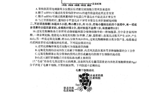 辽宁省协作校2024-2025学年度下学期高三第一次模拟考试生物_2025年3月_250328辽宁省协作校2024-2025学年度下学期高三第一次模拟考试（全科）