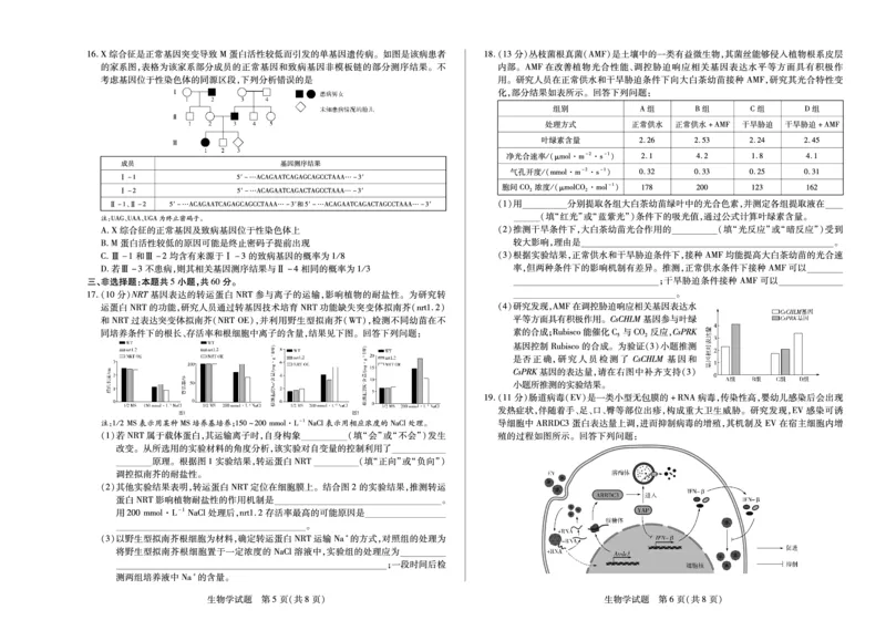 生物学(湖南专版)天一大联考&middot;湖南省、广西省2025-2026学年高三上学期阶段性检测（二）_2025年9月