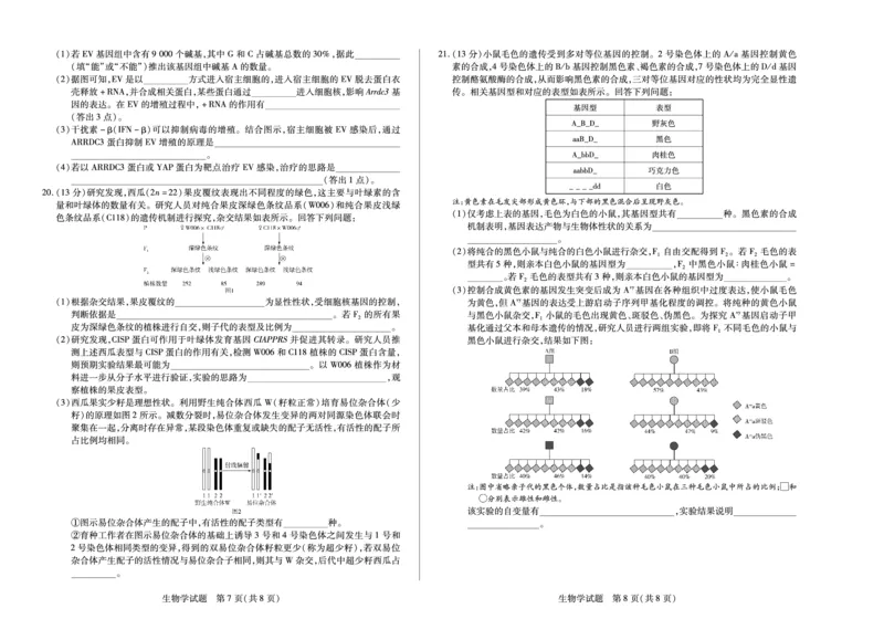 生物学(湖南专版)天一大联考&middot;湖南省、广西省2025-2026学年高三上学期阶段性检测（二）_2025年9月