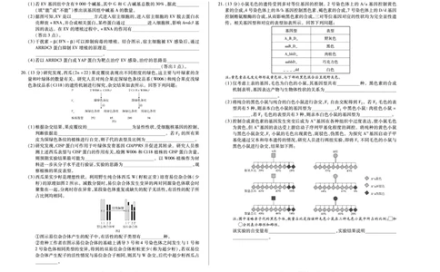 生物学(湖南专版)天一大联考&middot;湖南省、广西省2025-2026学年高三上学期阶段性检测（二）_2025年9月