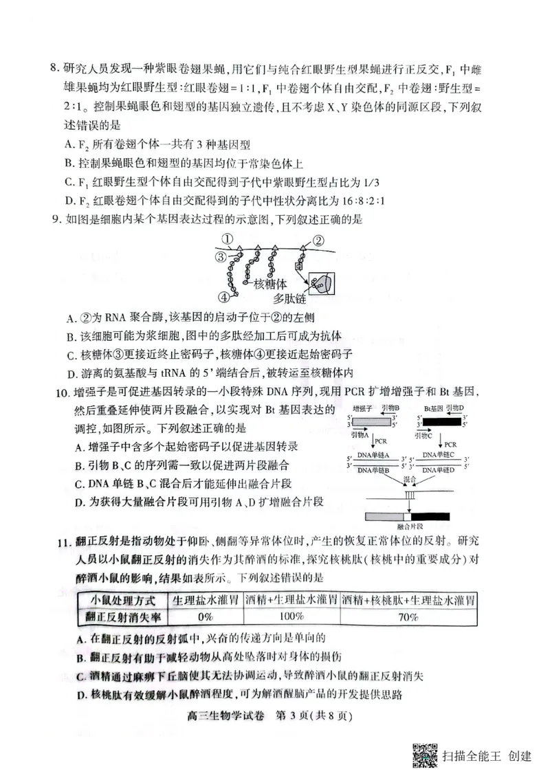 湖北省荆州市2026届高三上学期9月起点考试生物试题_2025年9月_250918湖北省荆州市2026届高三上学期9月起点考试（全科）