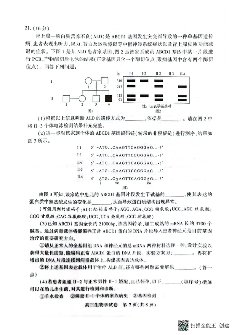 湖北省荆州市2026届高三上学期9月起点考试生物试题_2025年9月_250918湖北省荆州市2026届高三上学期9月起点考试（全科）