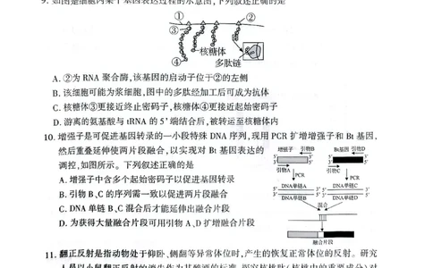 湖北省荆州市2026届高三上学期9月起点考试生物试题_2025年9月_250918湖北省荆州市2026届高三上学期9月起点考试（全科）