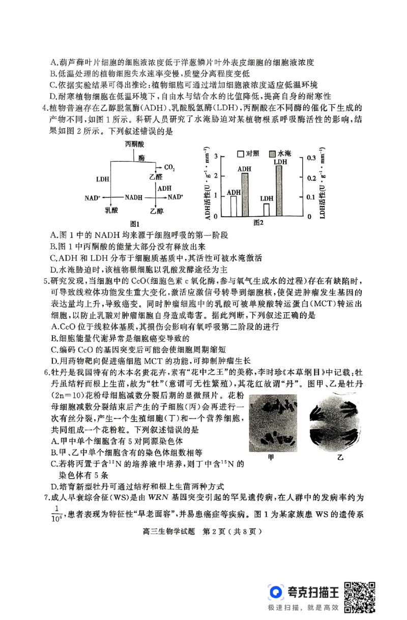 生物试卷_2025年4月_2504272025年河南省五市高三第二次联考（许昌、平顶山、南阳、新乡、洛阳）（全科）_2025届河南省五市高三下学期第二次联考生物